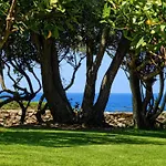 Sea&nature Casa vacanze Porto Cervo